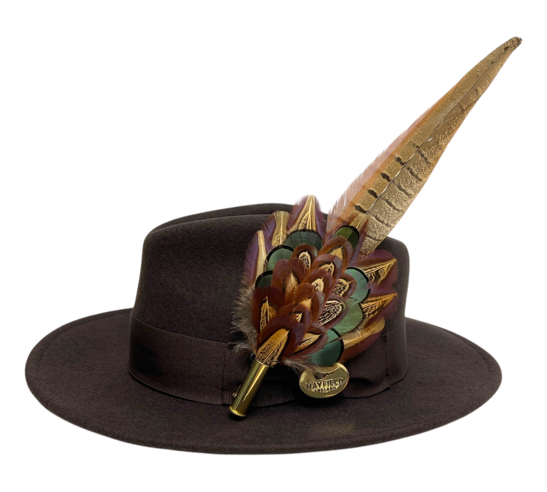 brown wool fedora hat with feather hat pin
